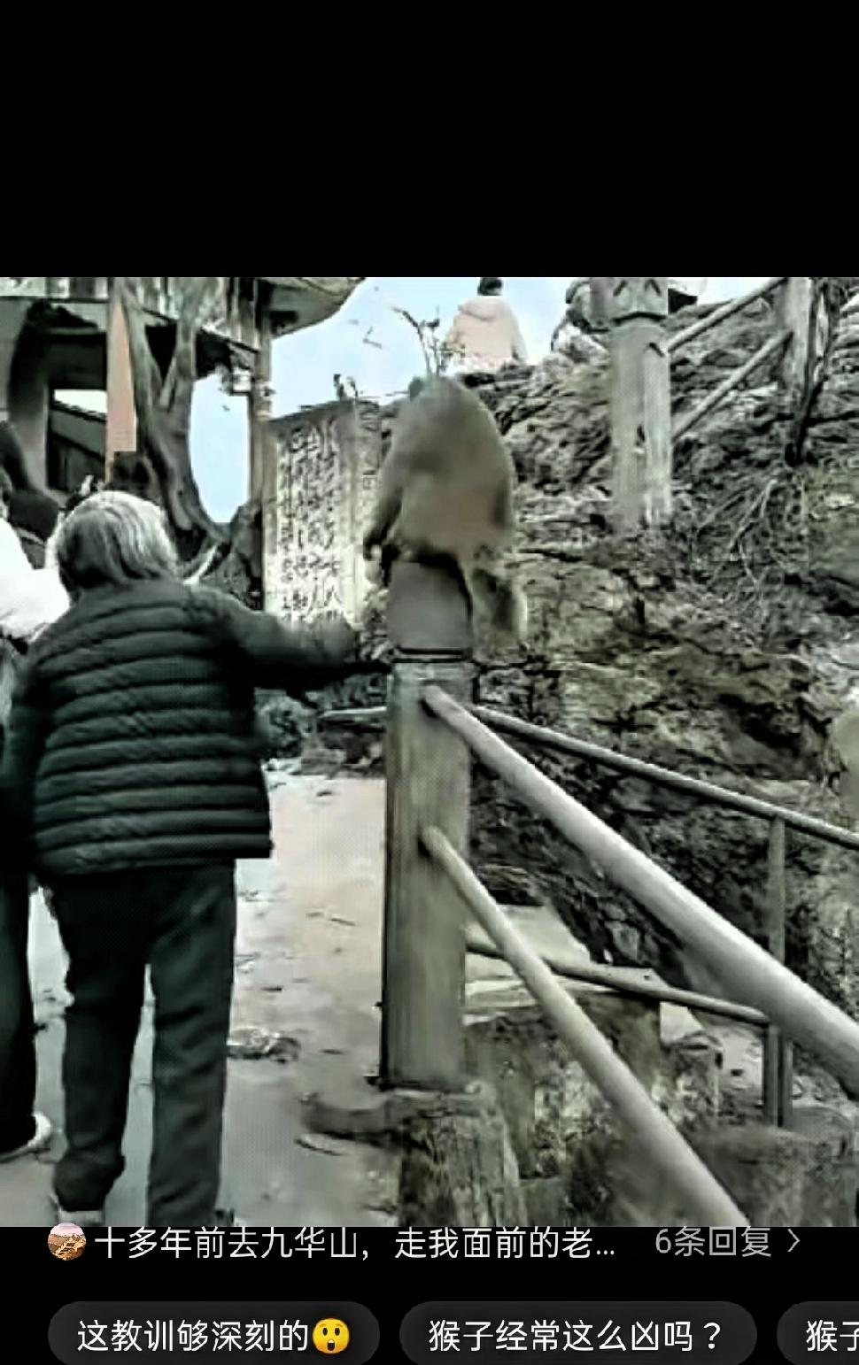 这个老太太手太欠！
都这把年纪了，
还不该稳重些吗？
 
在景区有这样一幕，一位