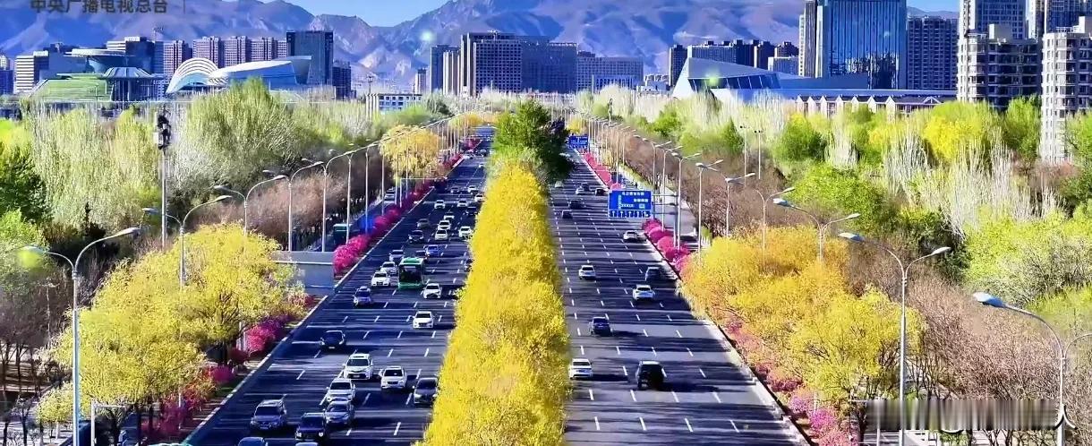 呼和浩特并非只有丝绸之路一条鲜花大道，成吉思汗景观大街也很不错。当然，丝绸之路大