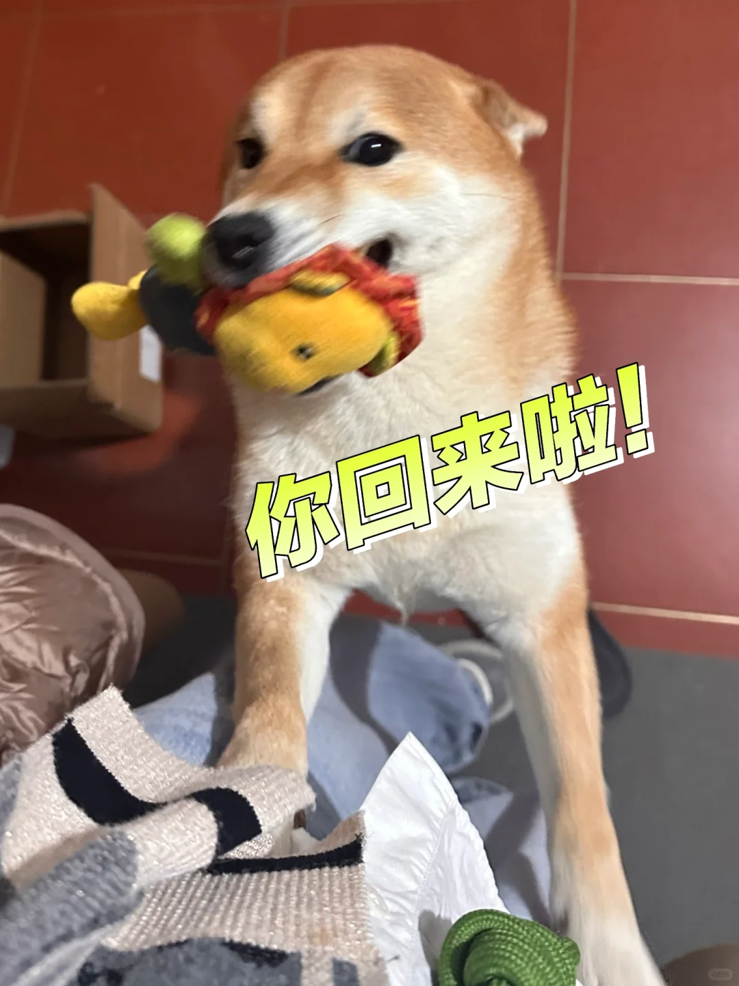 有时候我感觉自己是一个巨星