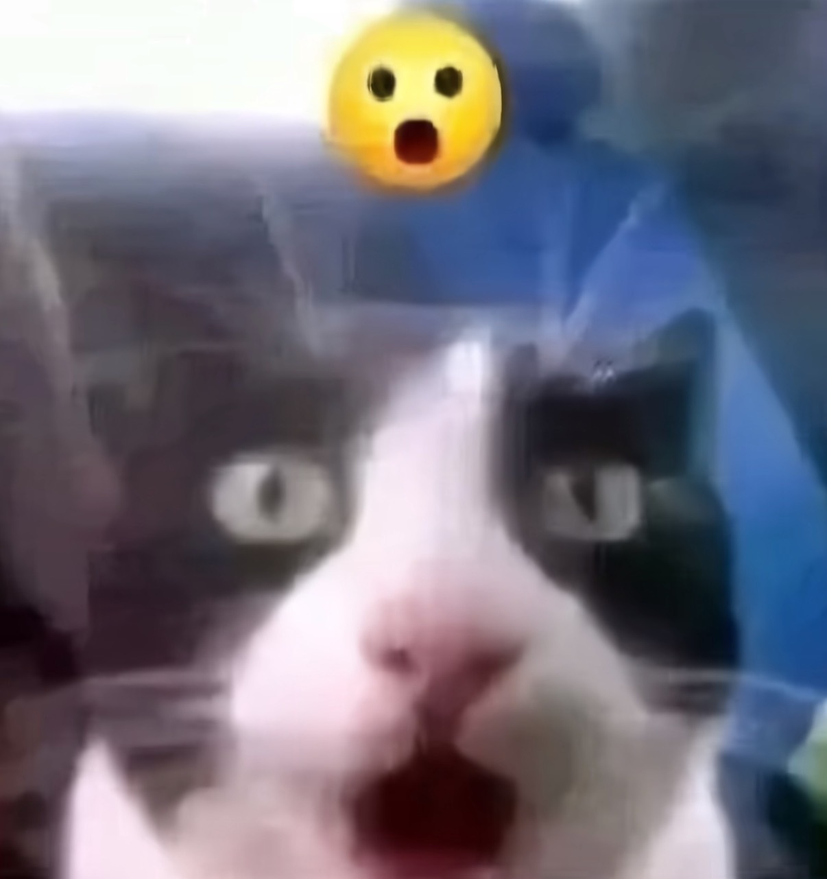 让五追七Again？[腊肠笔芯] ​​​