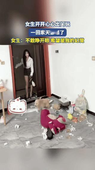 女子下班后拖着疲惫的身体回家，满心只想瘫倒休息。可刚打开家门，她瞬间愣住——地上