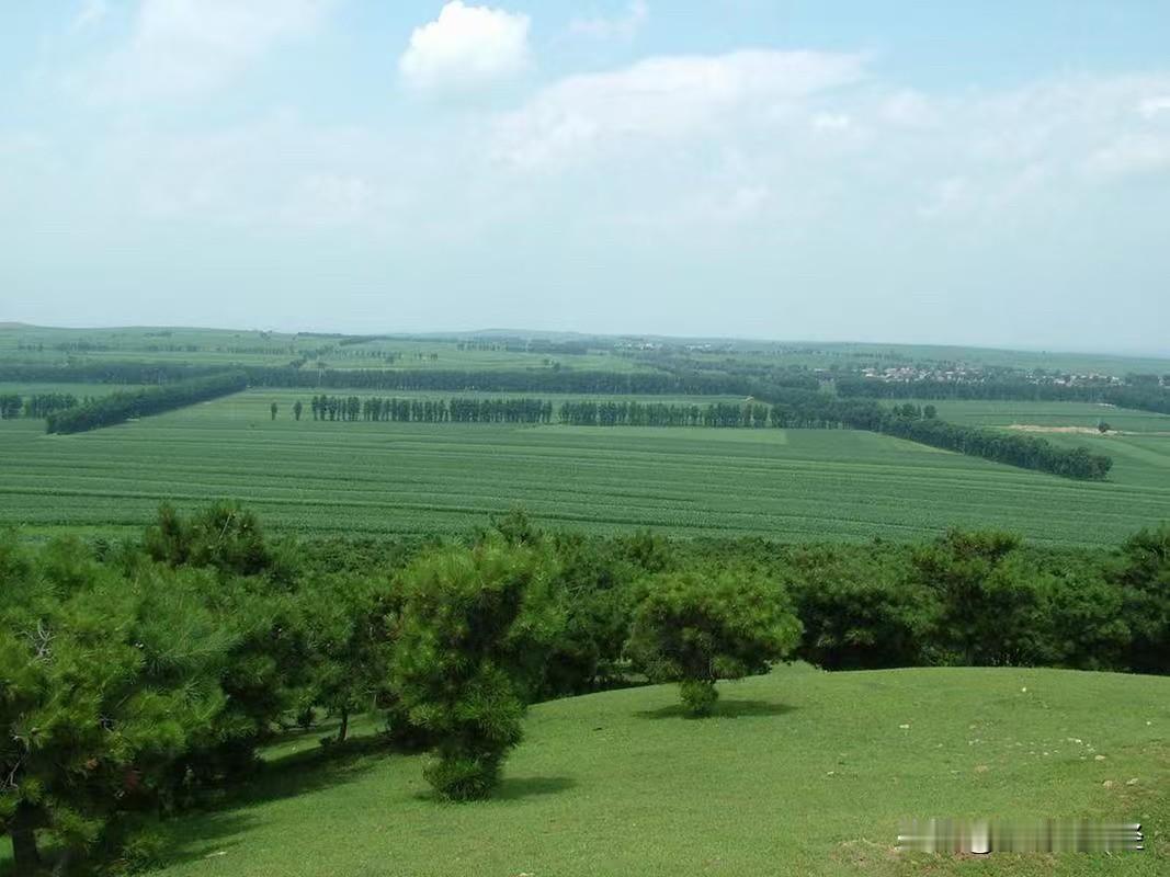 全球第一！中国新能源汽车销量正式超过日本！这件事很多人当作一个“成绩”来看，但我