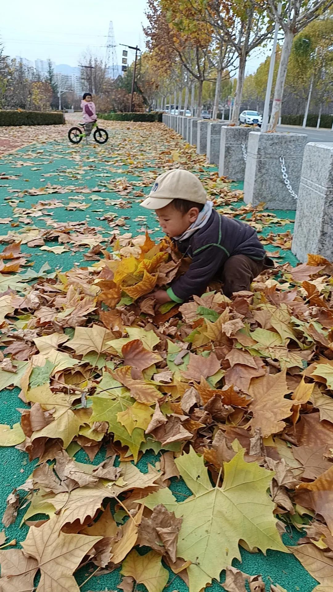 秋风扫落叶，稚子乐开怀！