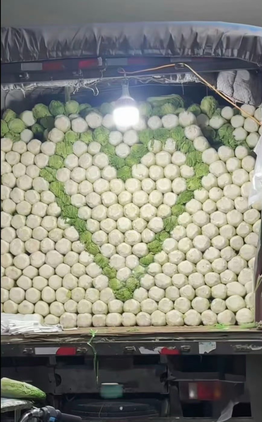 在这时刻白菜价格瞬间飙升 