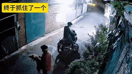 逮到一个了