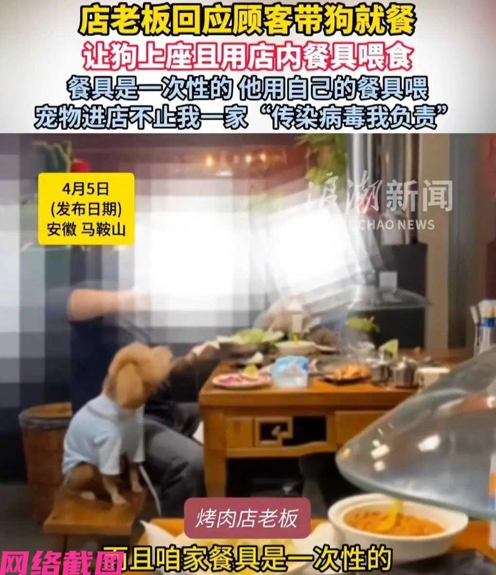 安徽马鞍山有客人在一家饭店吃饭时，眼瞅到还有客人带着宠物狗上桌吃饭，这把此人看得
