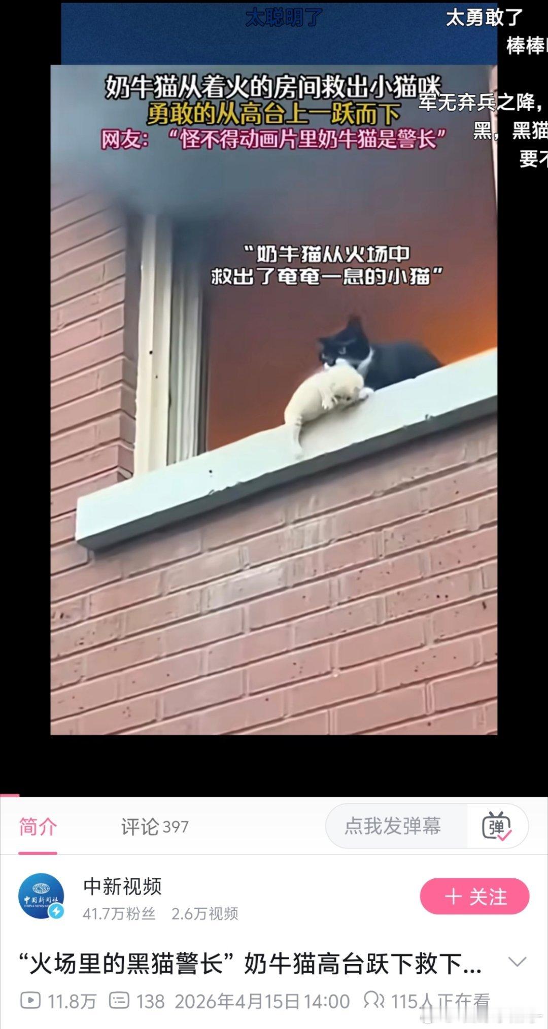 Ai现在是越来越不好甄别了...... 