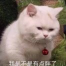 软蒜热聚体育