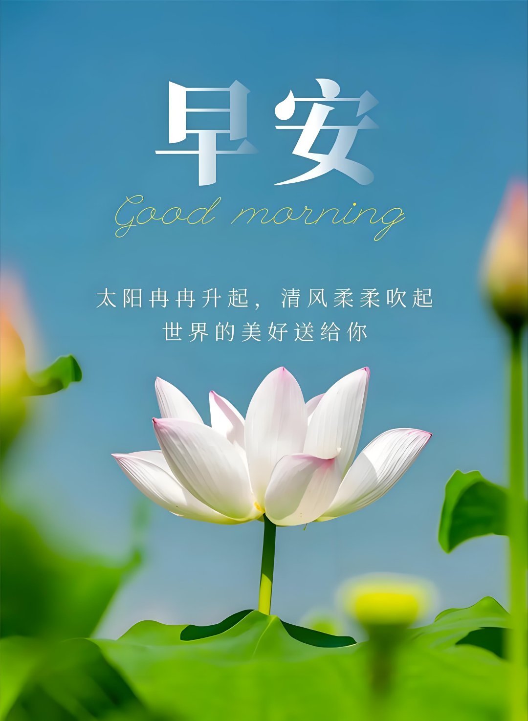 早安 早上好 