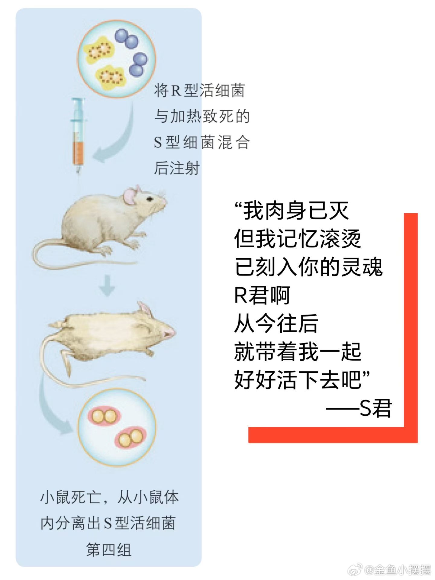 逗比小孩 高中生 下晚自习回家，一路上，鱼大姐就在和我balabala……他们小