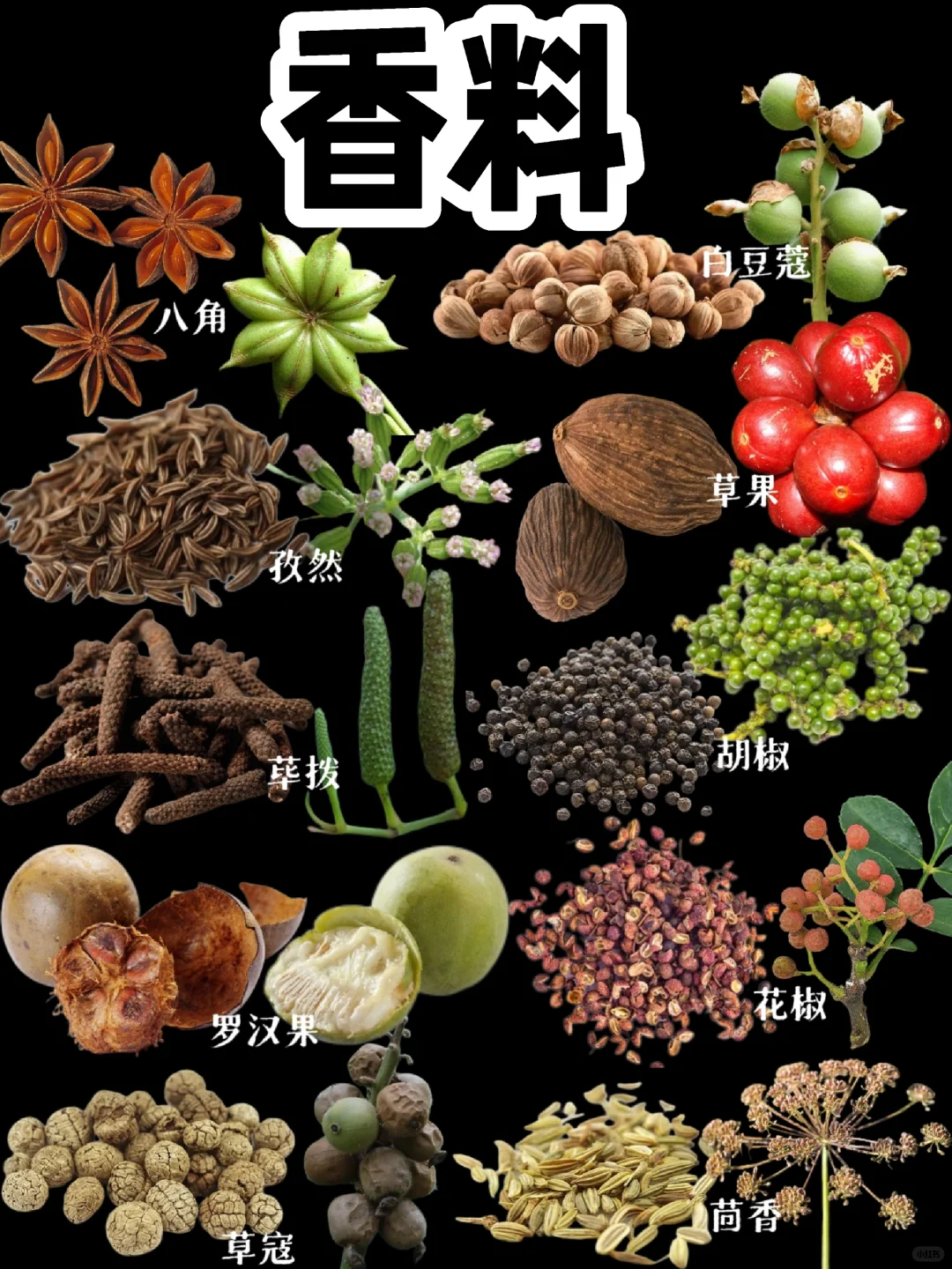 【香料】香料还没制成香料时是啥样？