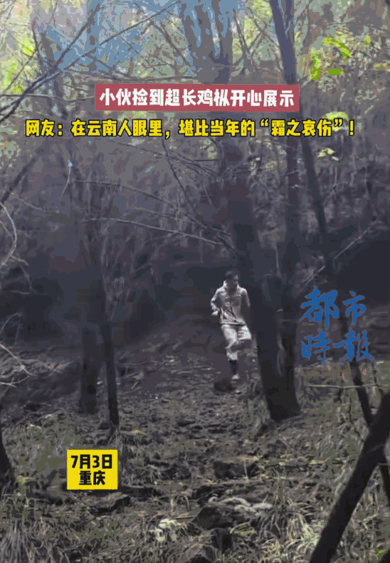 天降横财！重庆一位小伙上山溜达一圈，竟然捡到了一根快有他小臂长的“巨无霸”鸡枞！