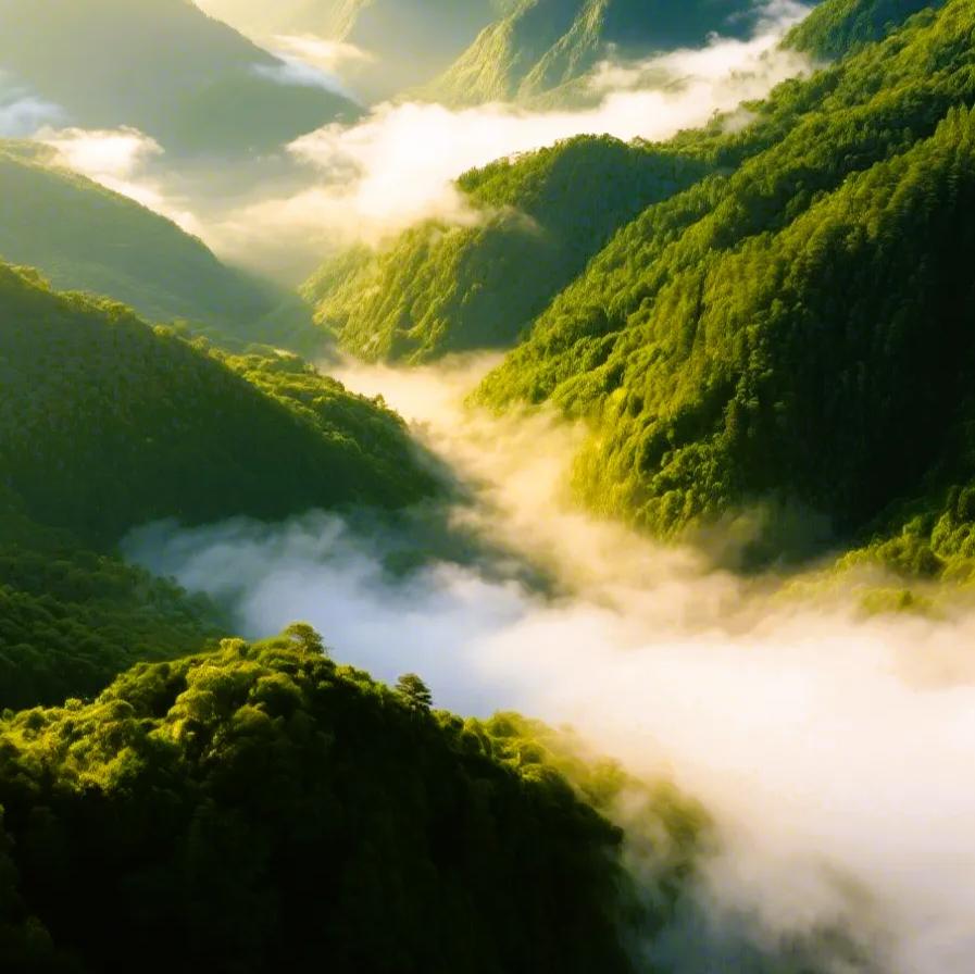赏景：翠染峰峦 
看图写话：
层峦浮翠霭，
山峦叠翠云雾绕；
万壑卷云涛，
巍峨