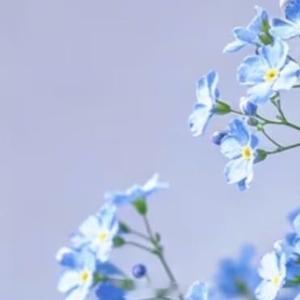 早安心语 🌥️ᑋᵉᑊᑊᵒ ᵕ̈ ᑋᵉᑊᑊᵒ🌷🏝生活仅此一份限量版认真对待，