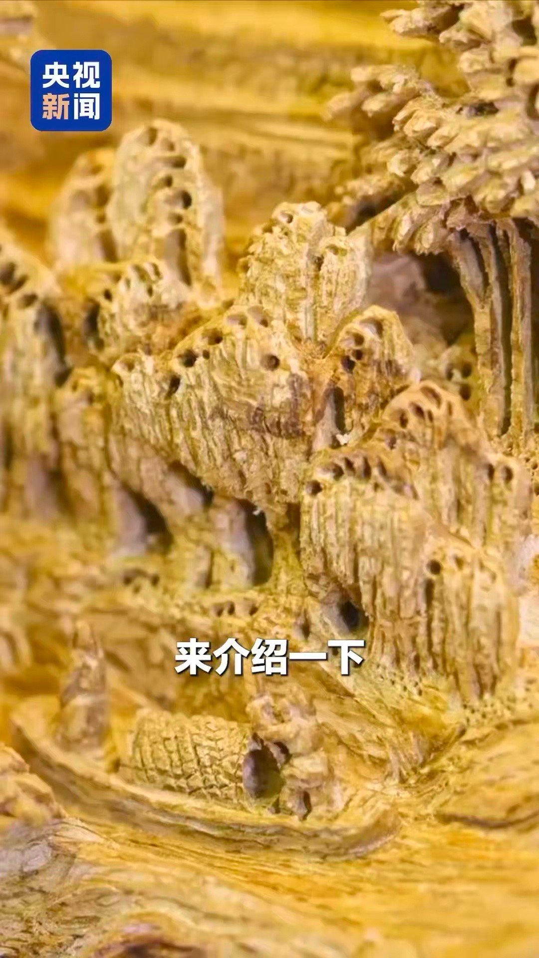 木雕3D清明上河图一树载双卷，两岸共清明。这件木雕作品正面展现宋代原貌，背面呈现