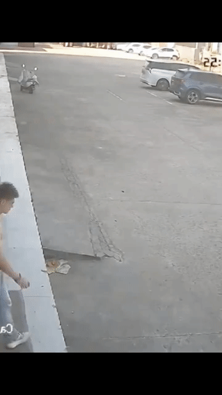 这男的到底是图啥啊？
看他长这么壮实，竟然为了追一只小狗把自己给摔了！