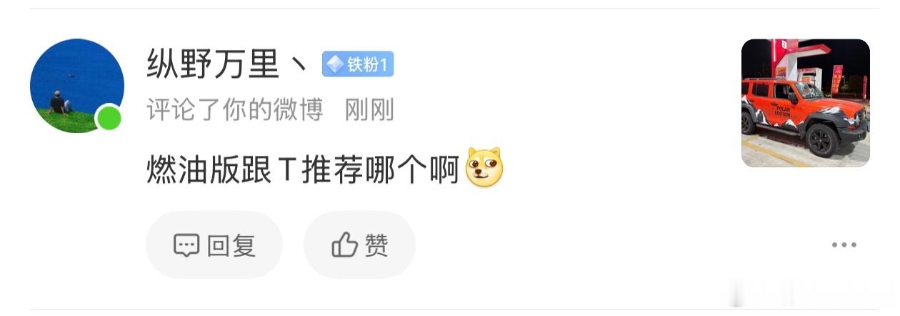 又有人问坦克的各个版本应该怎么选。再说一遍吧。汽油版。价格最低，性价比最高。柴油