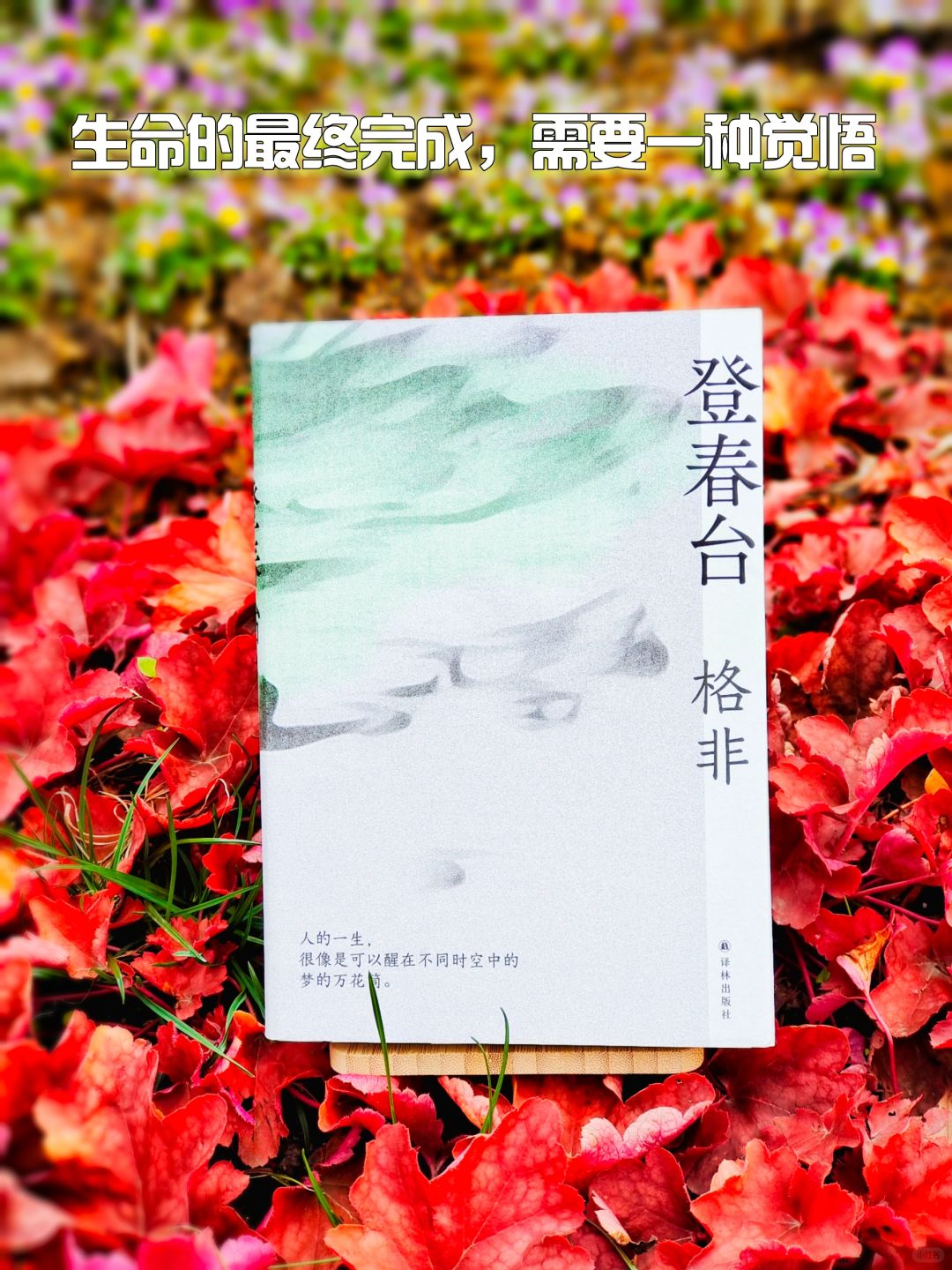 读格非《登春台》小说，感悟生命的意义