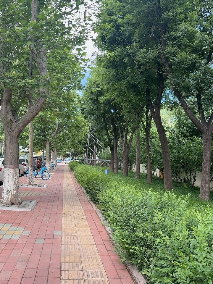 连日阴雨转晴天，
端午佳节享悠闲。
时光荏苒已夏至，
马年转眼过半年。