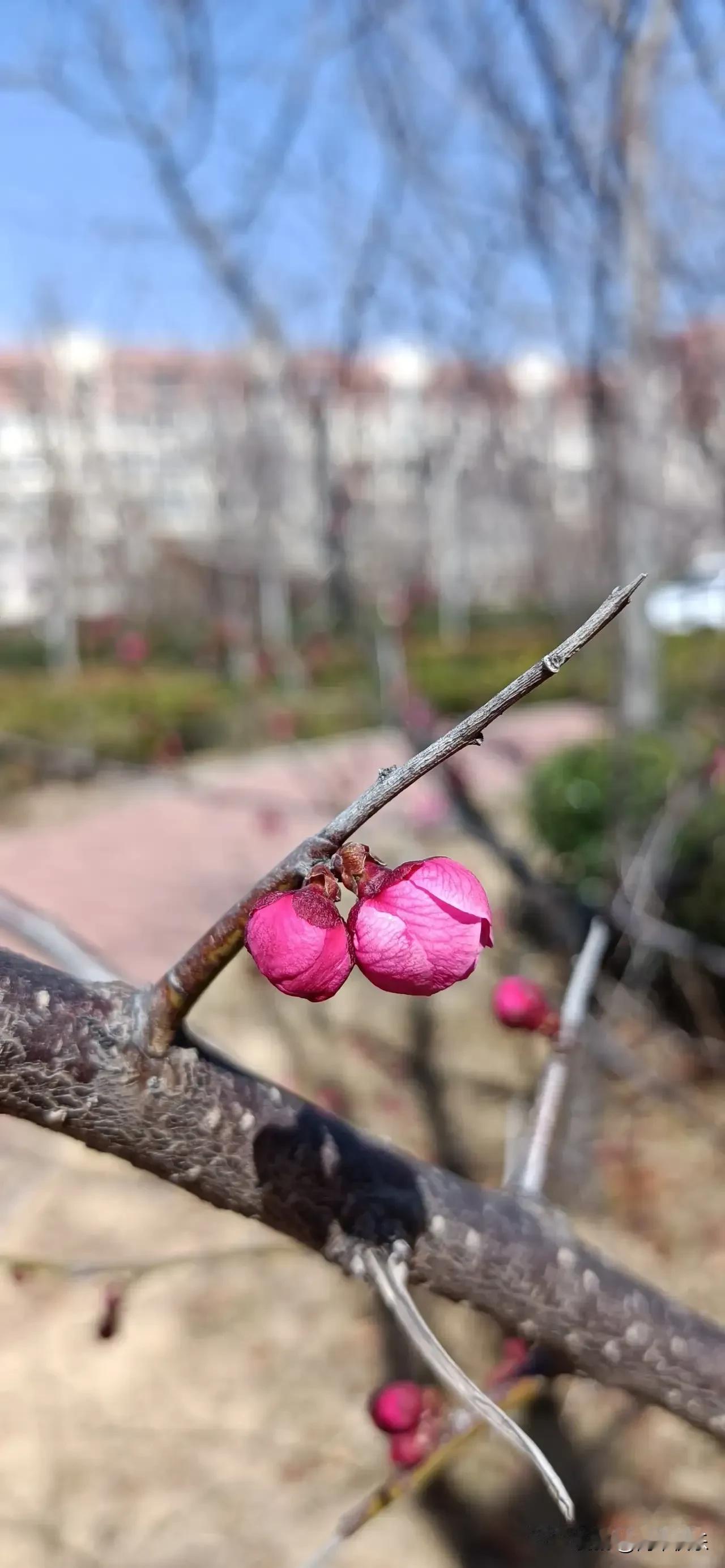 人到中年，另类活法的你见的多吗？

饭店里有一个服务员，今年四十八岁了，有两个女