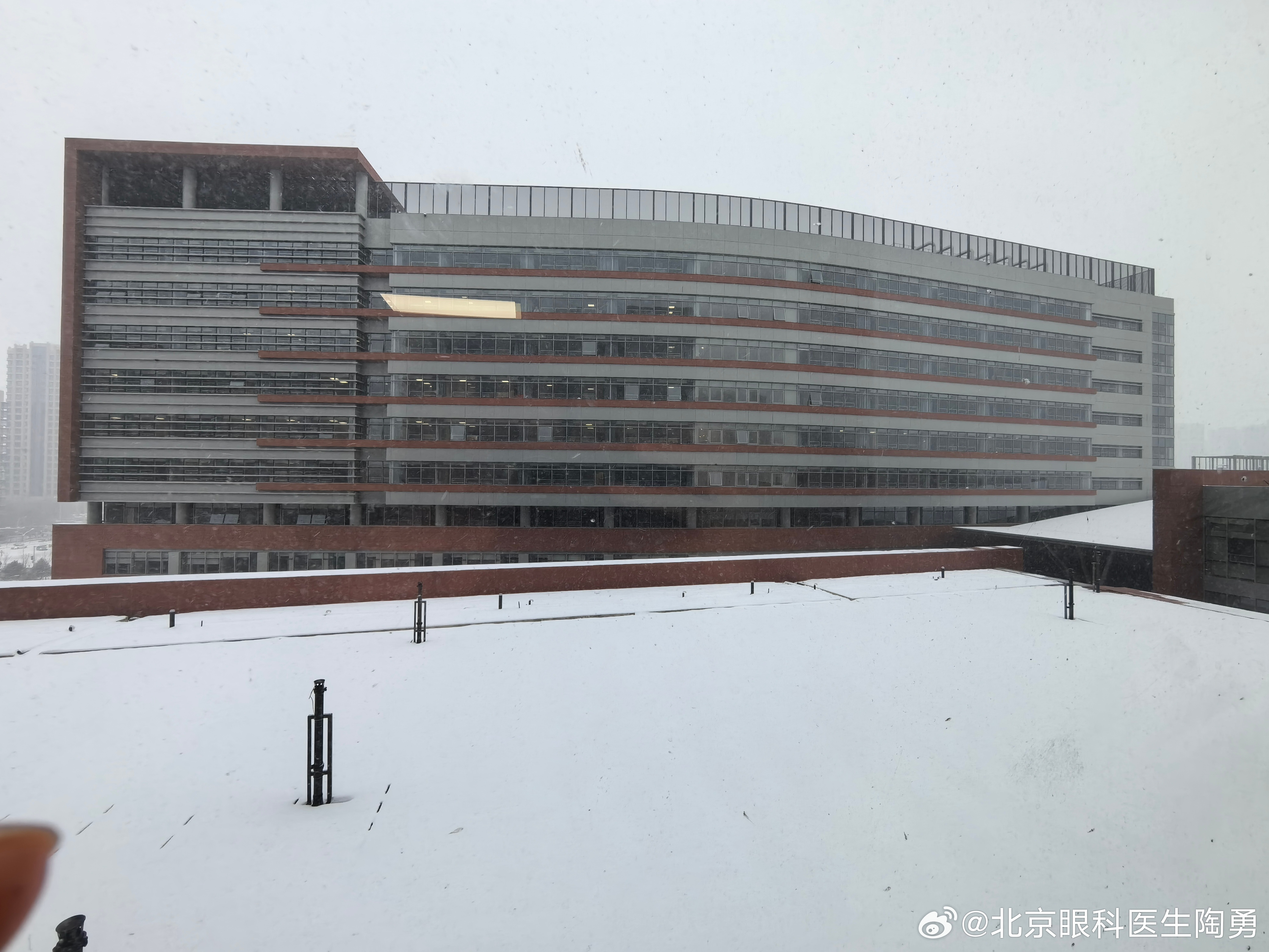 白雪皑皑，春意盎然 ​​​