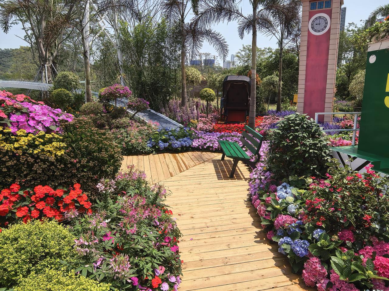 分享一张你最近随拍的照片花展随拍。