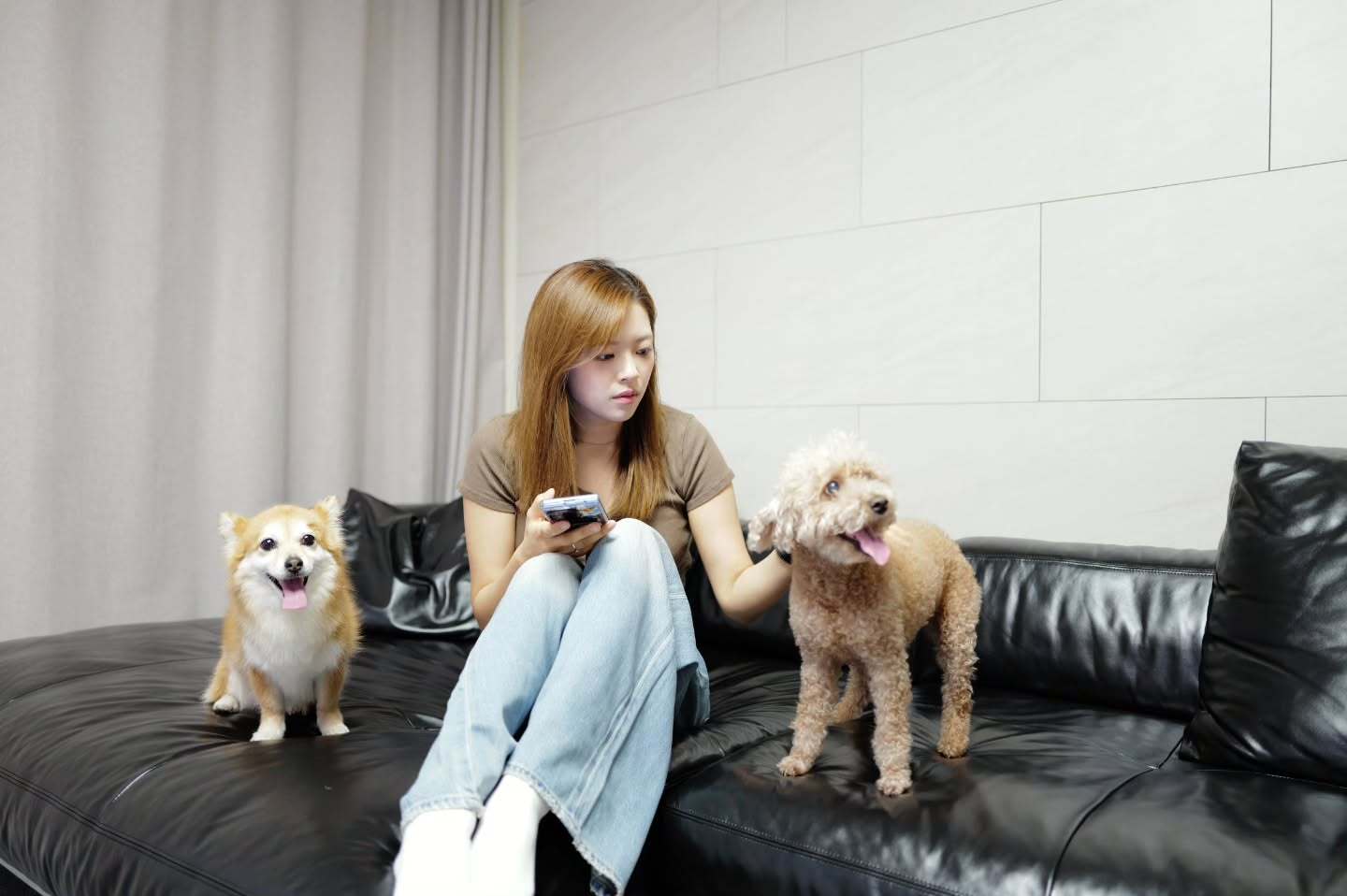 260607 jy_piece 🐶🐶 