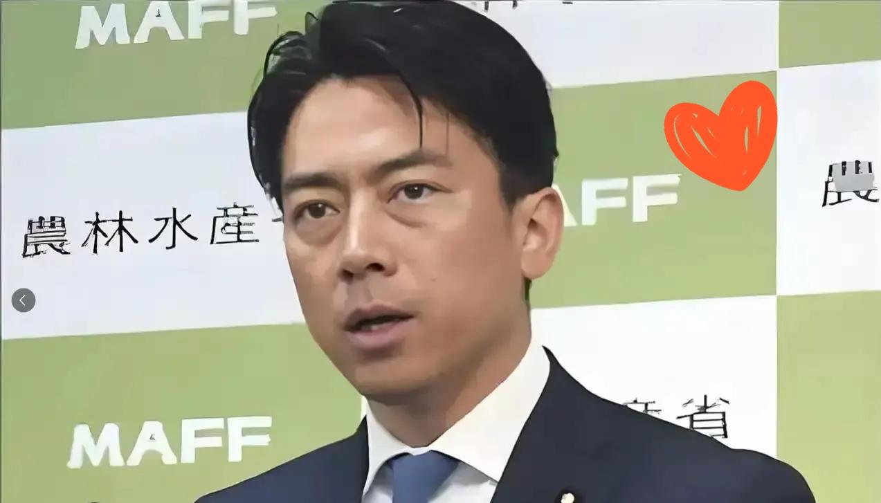 就在刚刚

日本政界突然冒出个高调表态：“自卫队将全力保障海峡的和平与稳定”，这
