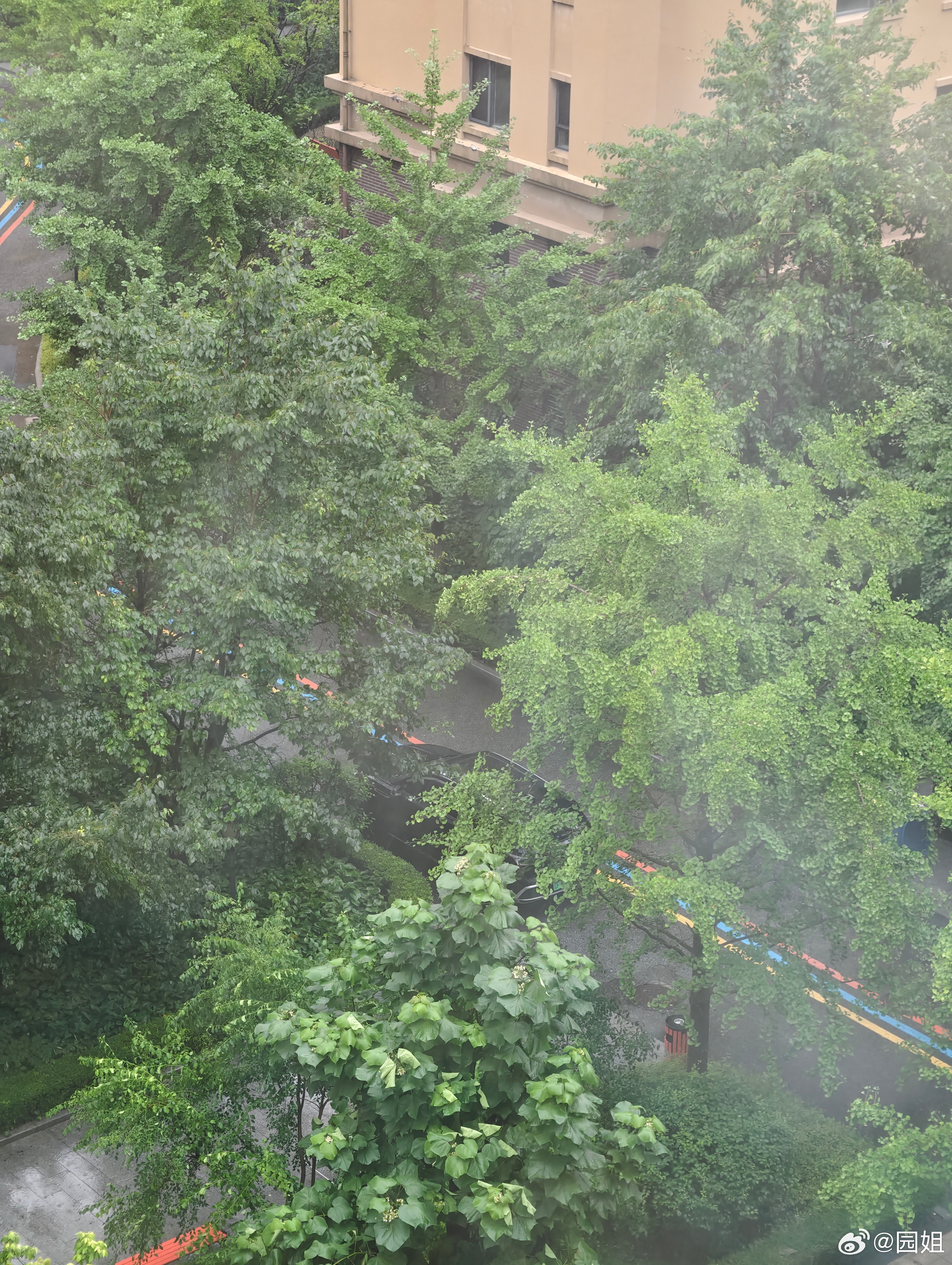 丹东好在就是下大雨，没有大风。 
