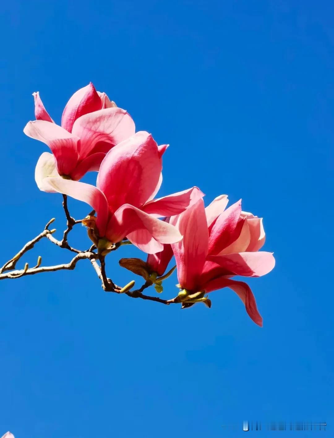 幸福哪有那么多大张旗鼓的样子，其实全是藏在柴米油盐里的，普通到你一不小心就会忽略