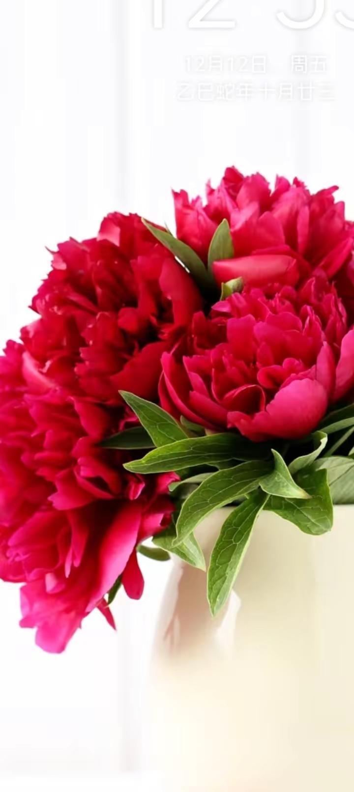 美不美你说了算