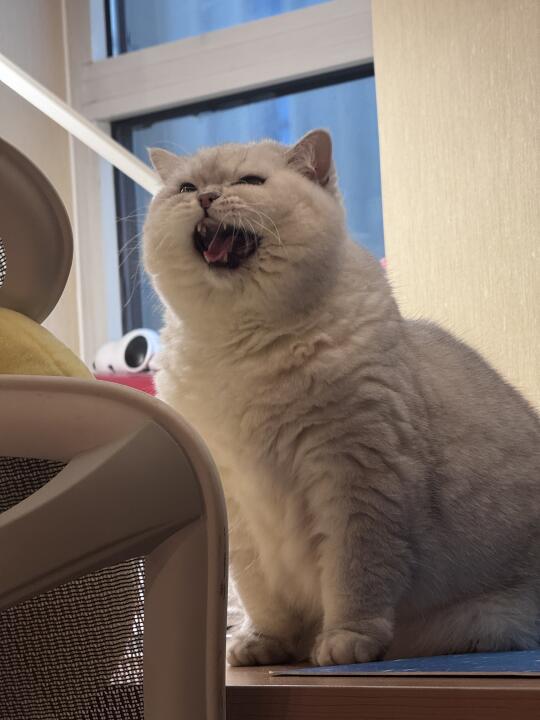 嘱咐一下出门的爸爸👋🏻