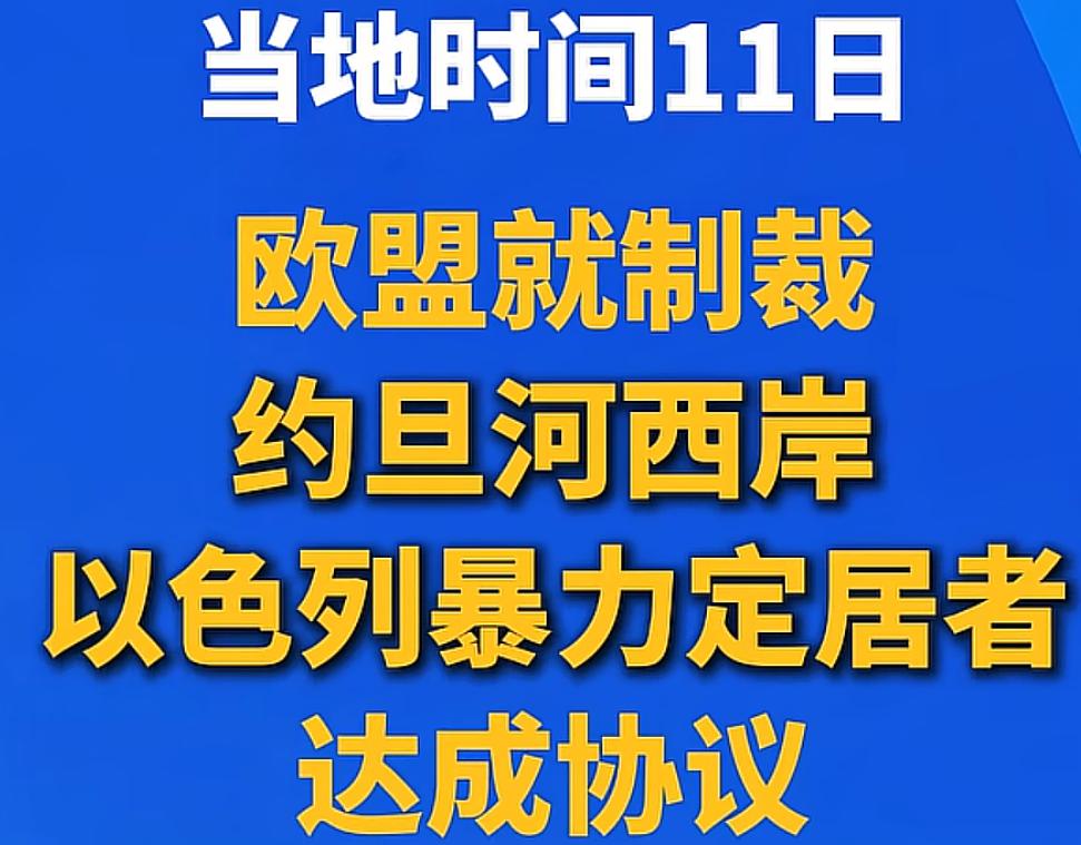 涉嫌对巴勒斯坦人实施暴力的以色列定居者及相关组织，包含3名定居者和4个定居者组织