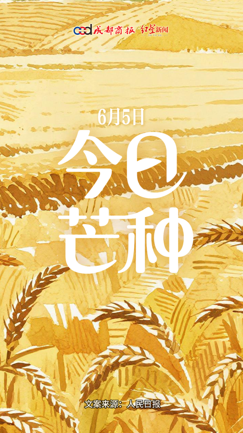 【#祝考生芒有所获种有所得# 】“芒种”至，仲夏始。芒种是收获的季节，愿每位考生