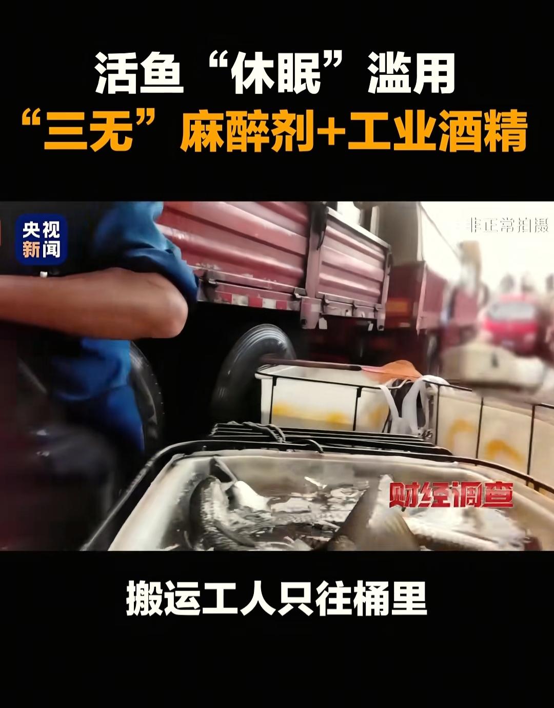 央视曝光的活鱼被麻醉这事，
真的越细想越后怕！
咱天天买的活鱼，居然被商贩用丁香