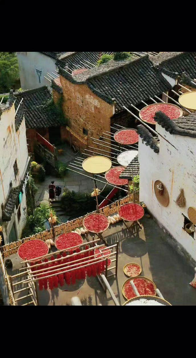 🌞红辣椒在瓦檐上燃烧，竹匾盛着整个秋天的甜。时光慢晒，岁月生香✨