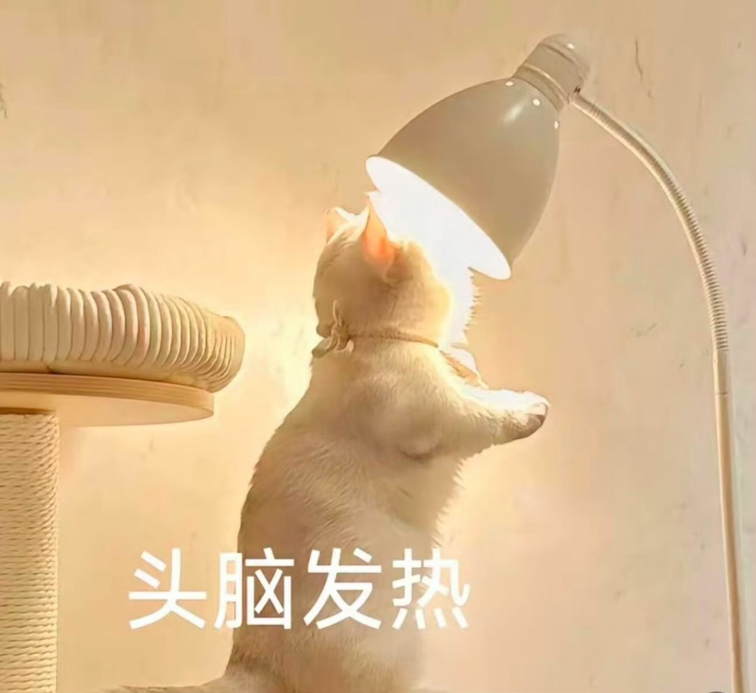情感 被激素影响的一生 