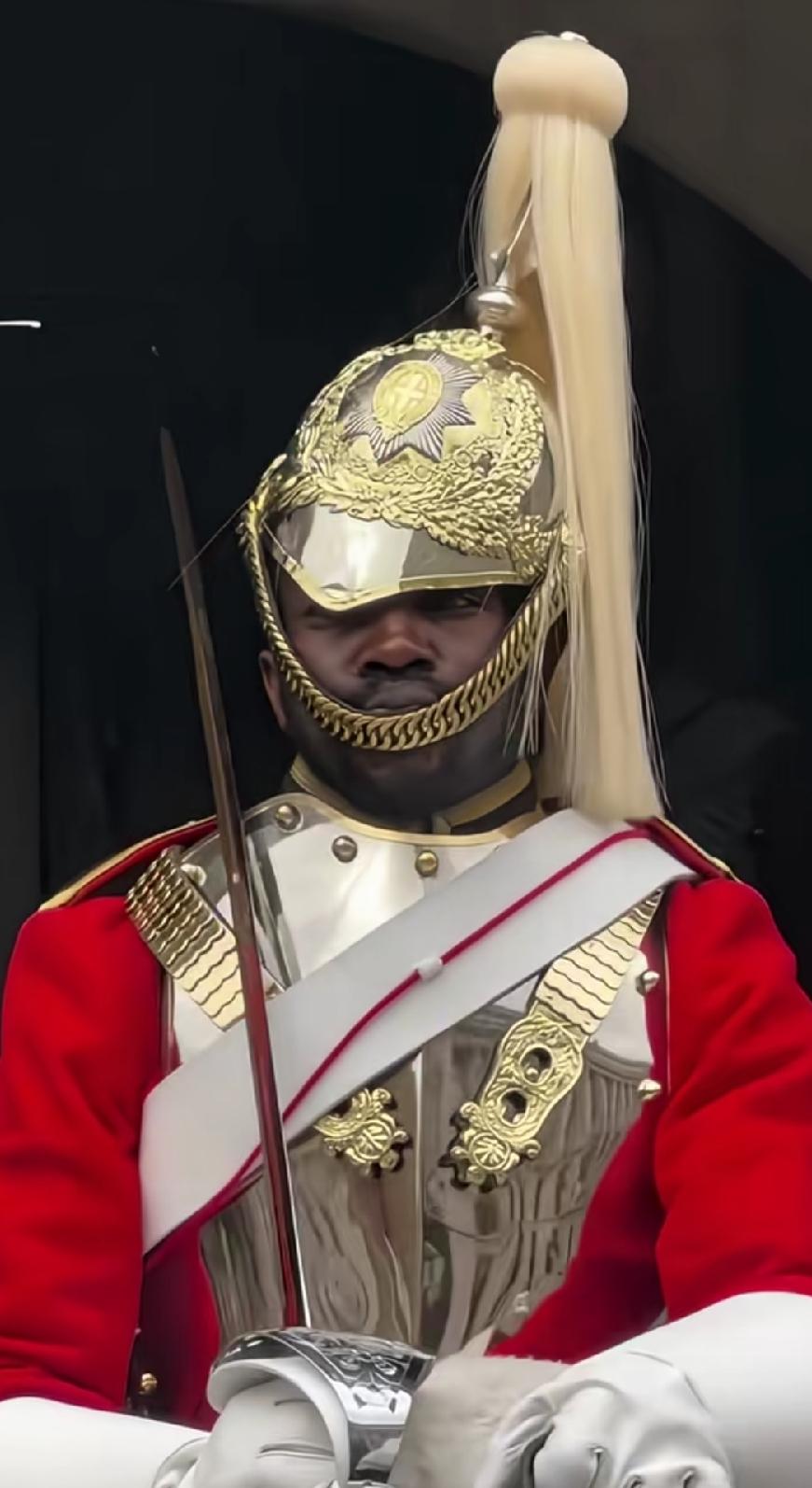 这新换的英国王室卫队骑兵士兵是印度裔还是非洲裔？我想拉下他的帽绳，不难受嘛？