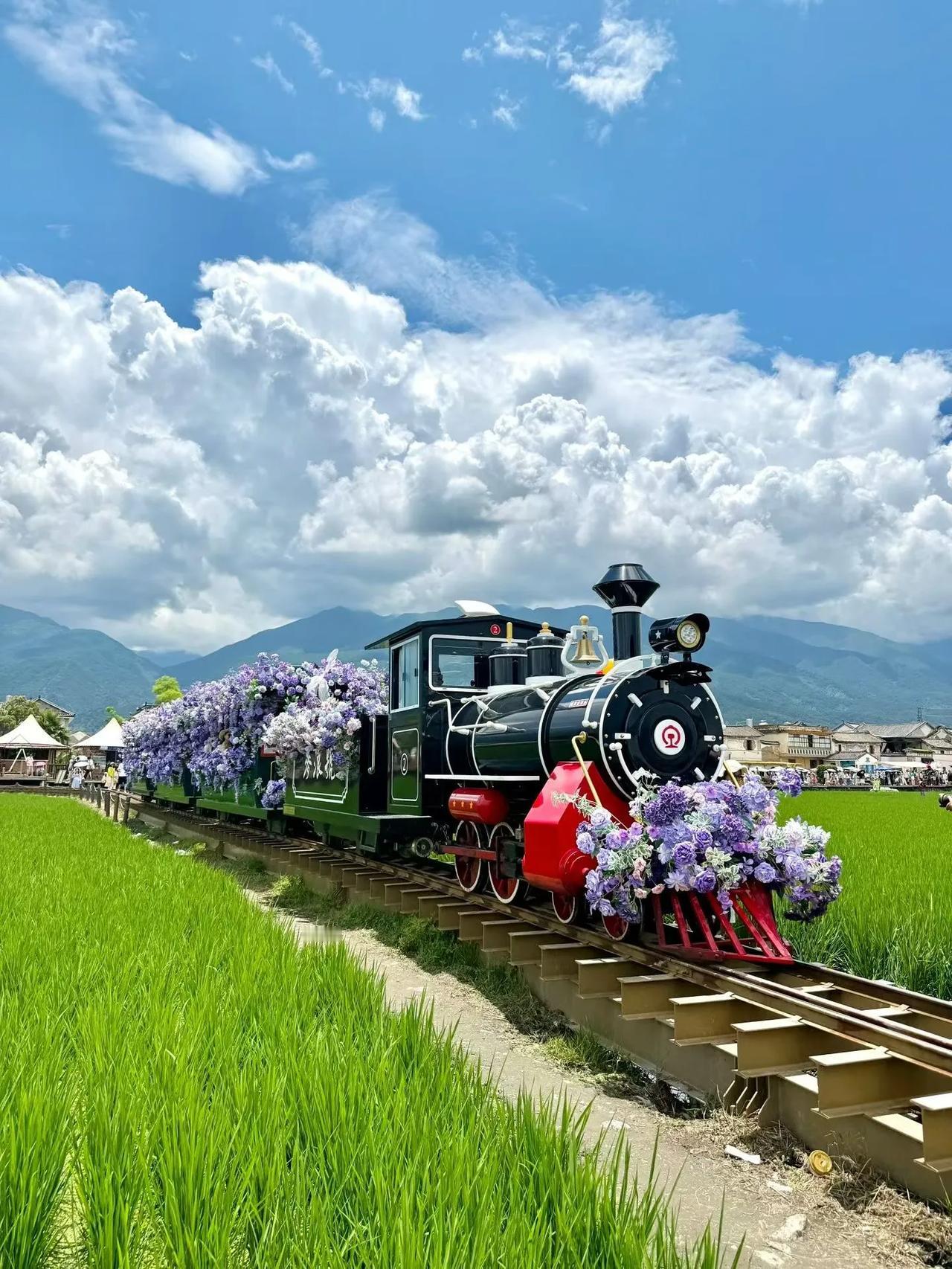 今天让豆包给我总结了精简到最核心、最实用、最适合长期看的 5 只 ETF，直接存