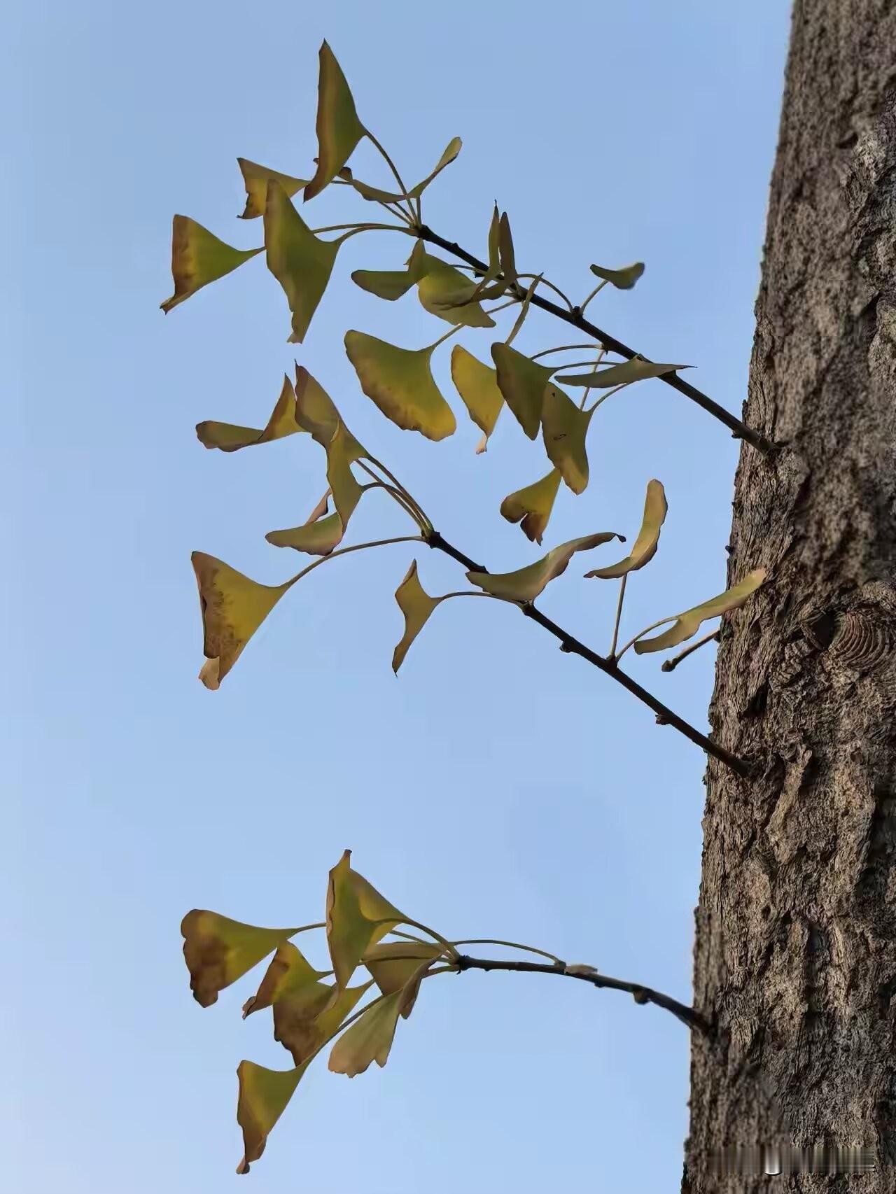 不碰他的“尊严底线”：

别用“男人该如何”绑架他，更别拿财富、成就贬低他的价值