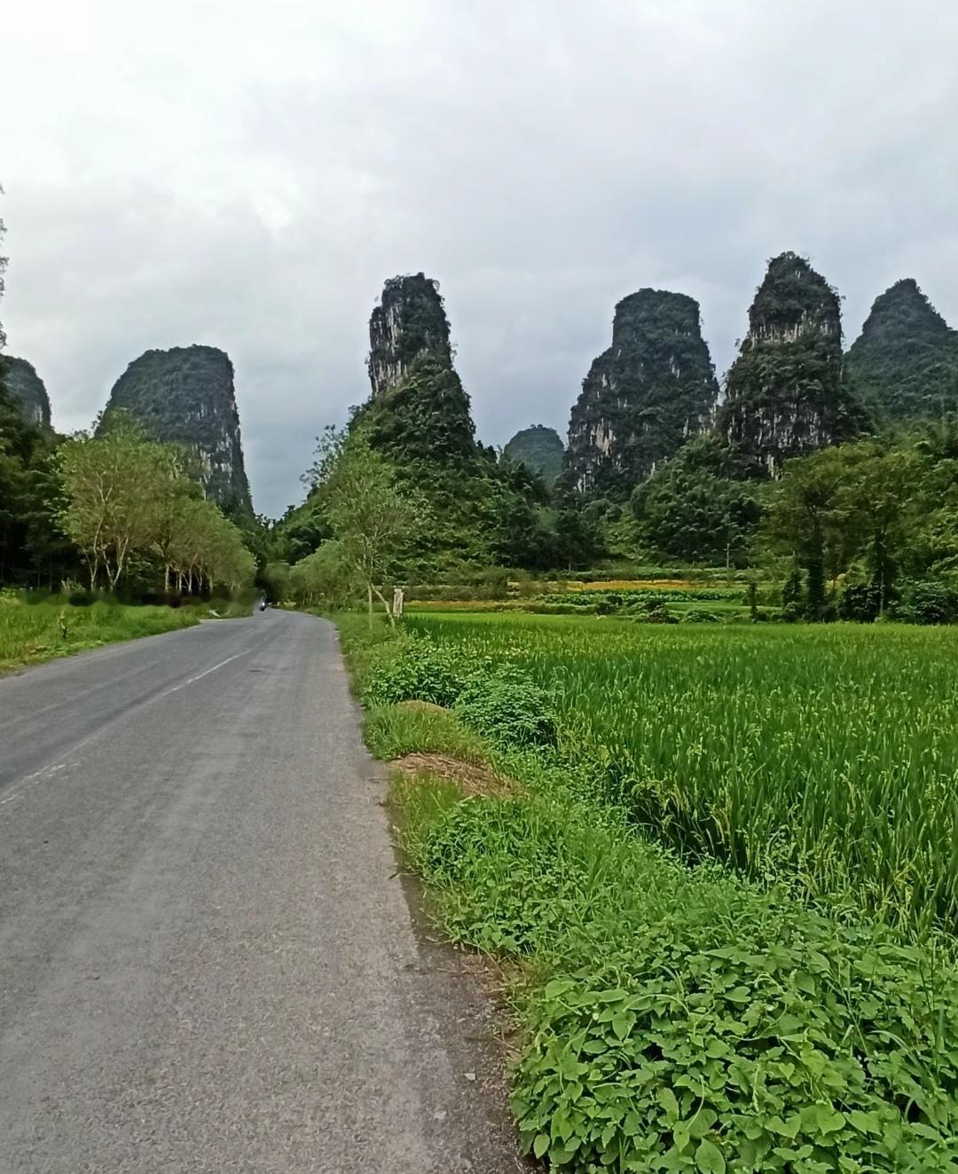 很多人把通阳想地复杂化，有些人竟然想通过药物，故弄玄虚。
       你在春夏