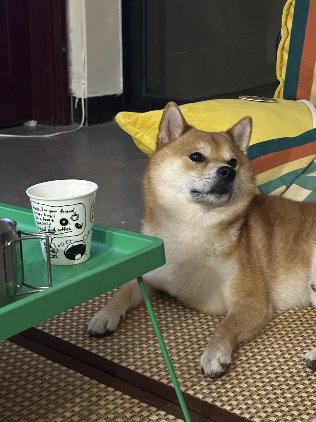 欢迎光临！小狗酒吧🍻