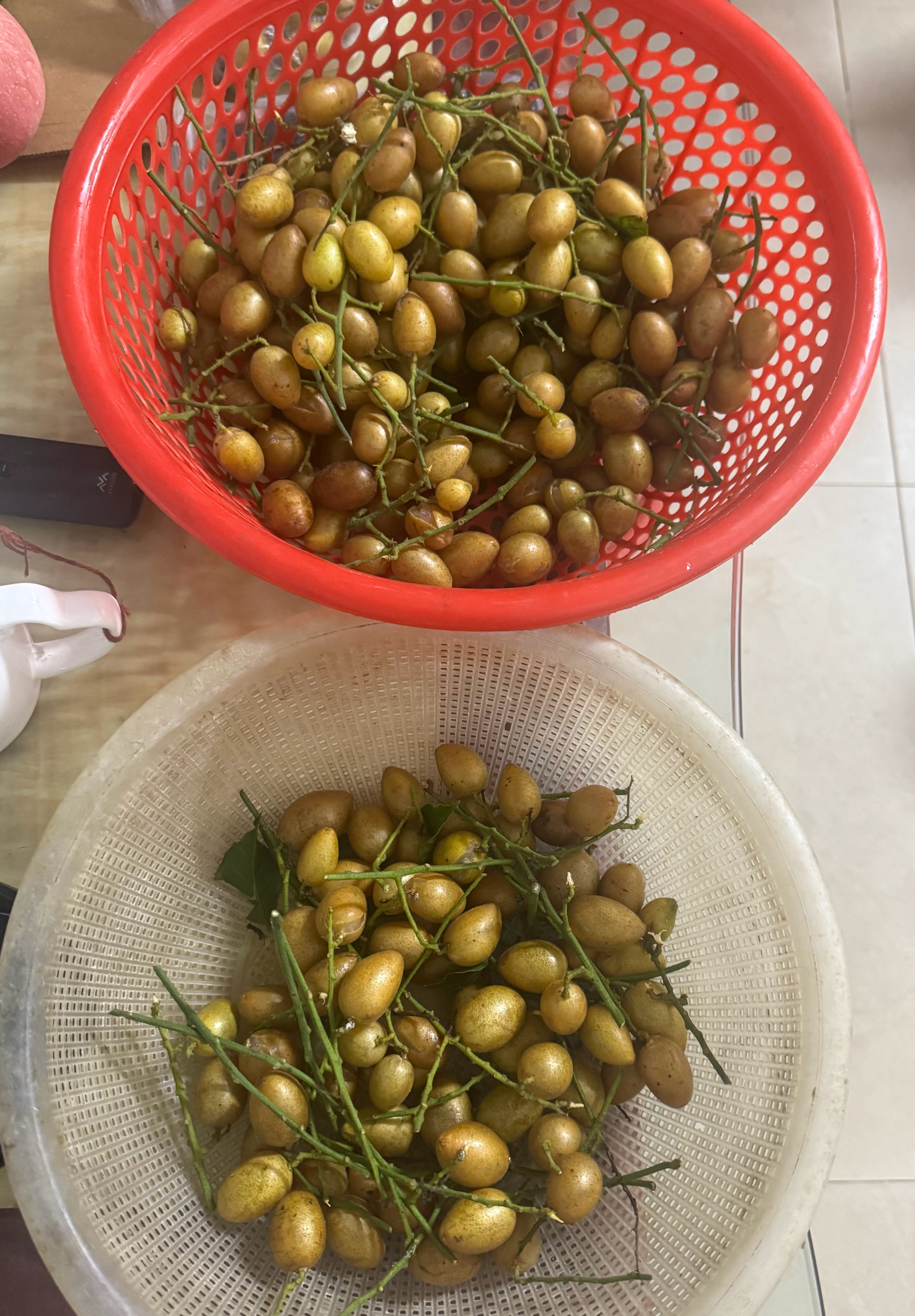 黄皮广东人的正气果。不止可以生吃，还可以做菜吃，煲汤/泡水喝。一身都是宝 北方的