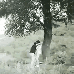 笑死我了，这俩货居然惊动了隐蔽的军人！这说明，我们的隐蔽工作做的忒好了[赞][赞