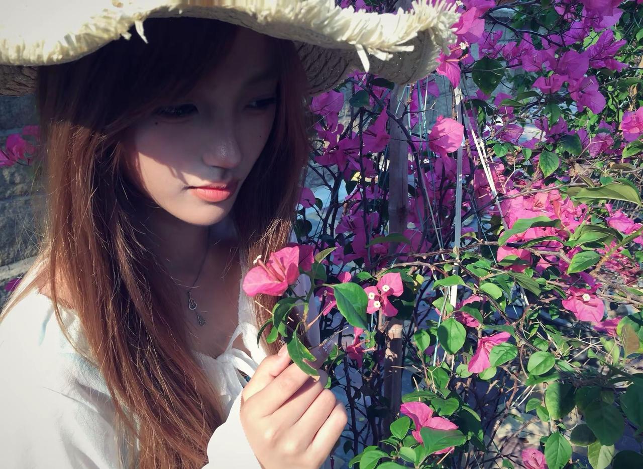 厦门天气好不好 你好不好三角梅 拍照 08