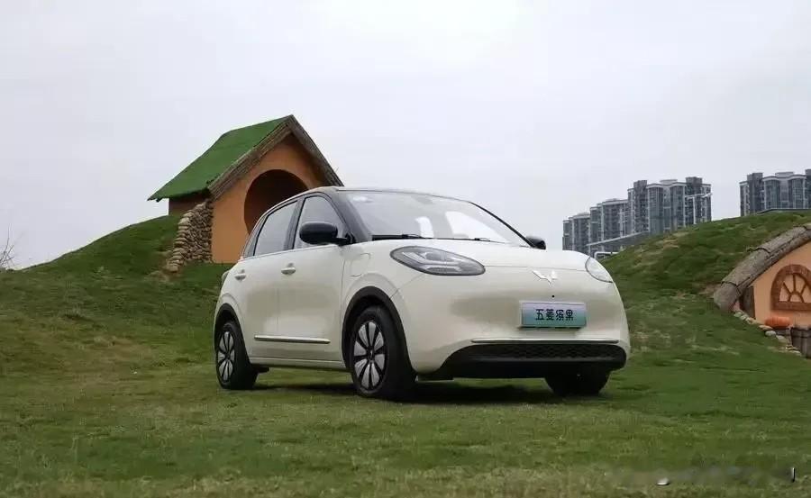 大家喜欢五菱，理由其实挺实在的。像缤果这一系，样子时尚，里面空间也大，还带着快充