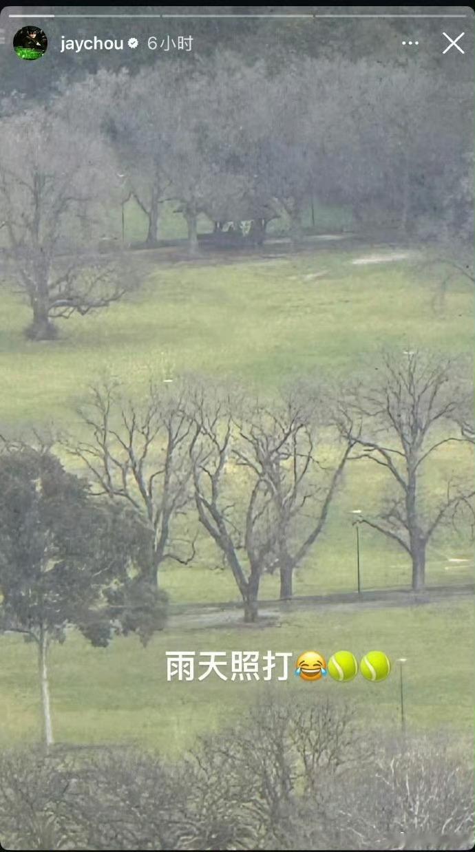 周杰伦疑似回应私生子 那个所谓的爆料全程没点名没实锤，全靠网友自己猜。就因为人家
