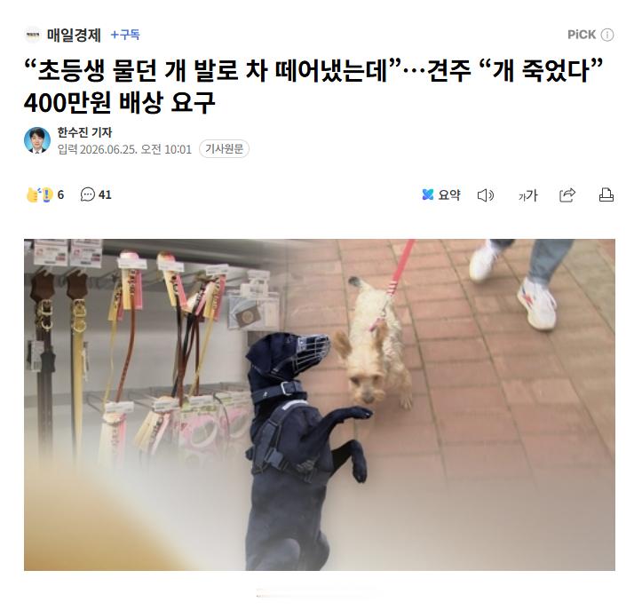 【韩国女子脚踹烈犬救下被咬儿童，狗死后主人索赔400万韩元】海外新鲜事热点现场 