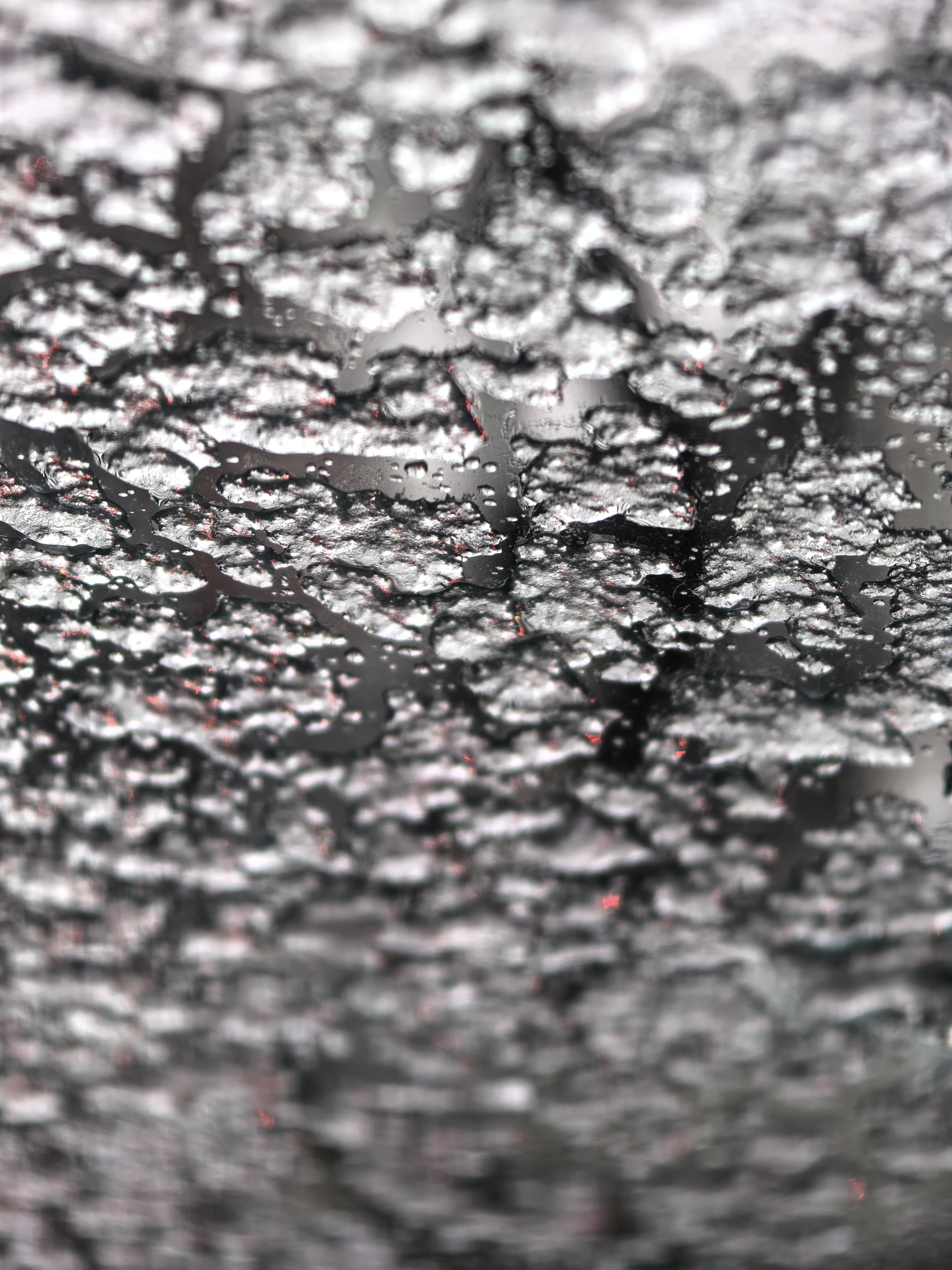 北京暴雪  ❄❄❄ 