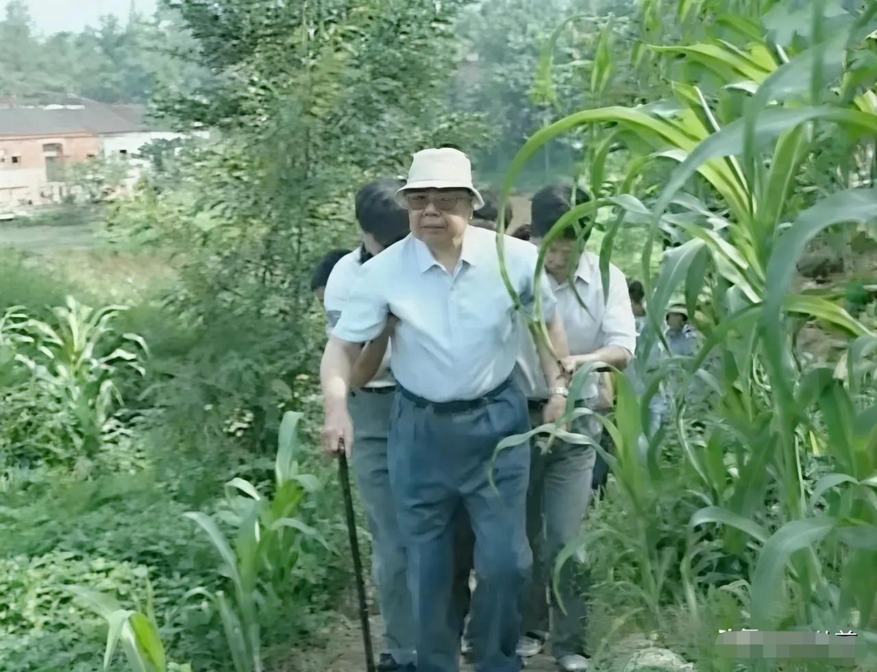 1997年，82岁的开国上将陈锡联回到了阔别多年的家乡湖北红安，高桥镇陡山彭家村